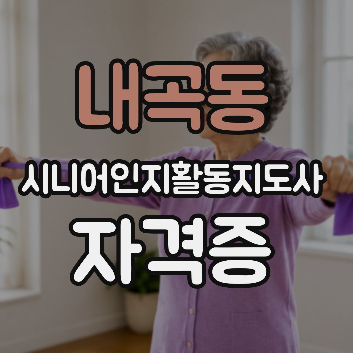 내곡동 시니어인지활동지도사 자격증