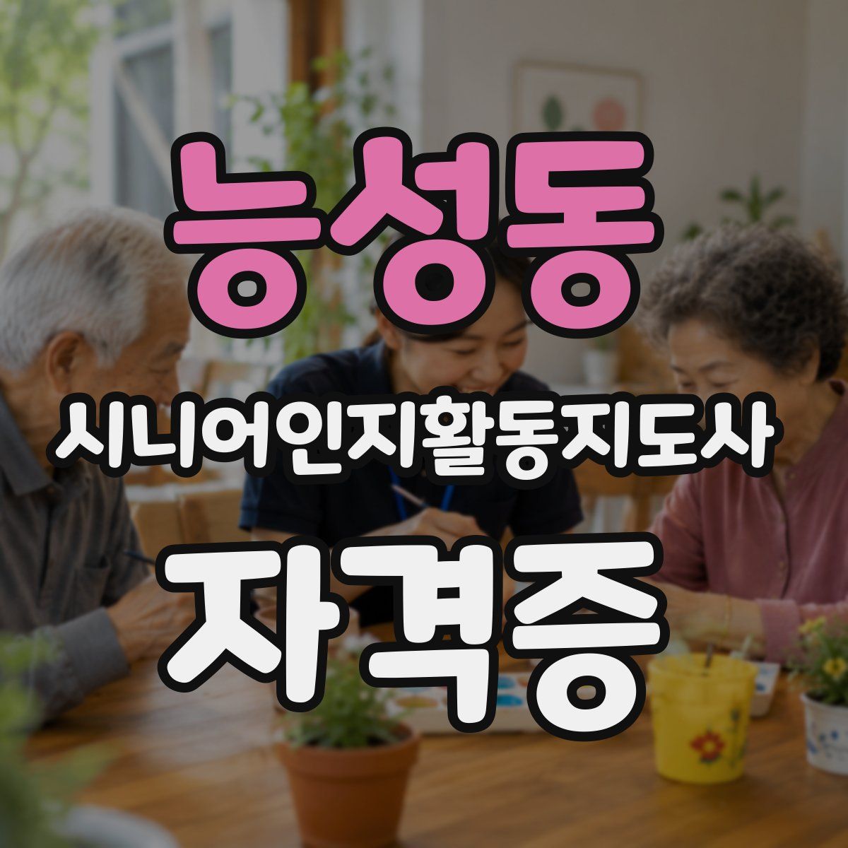 능성동 시니어인지활동지도사 자격증