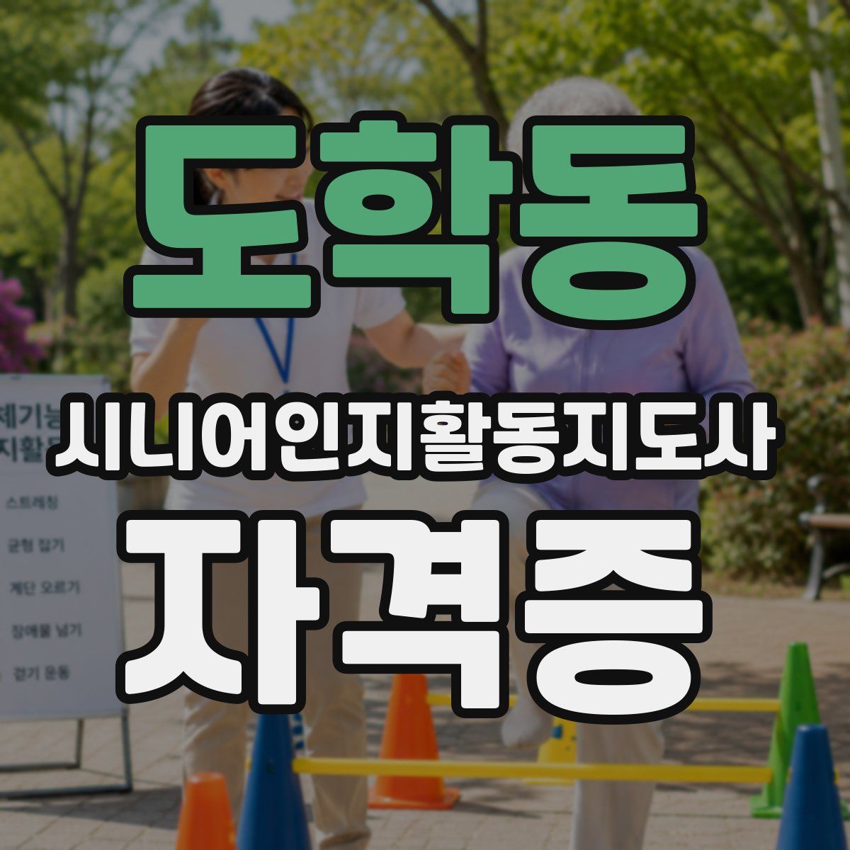 도학동 시니어인지활동지도사 자격증