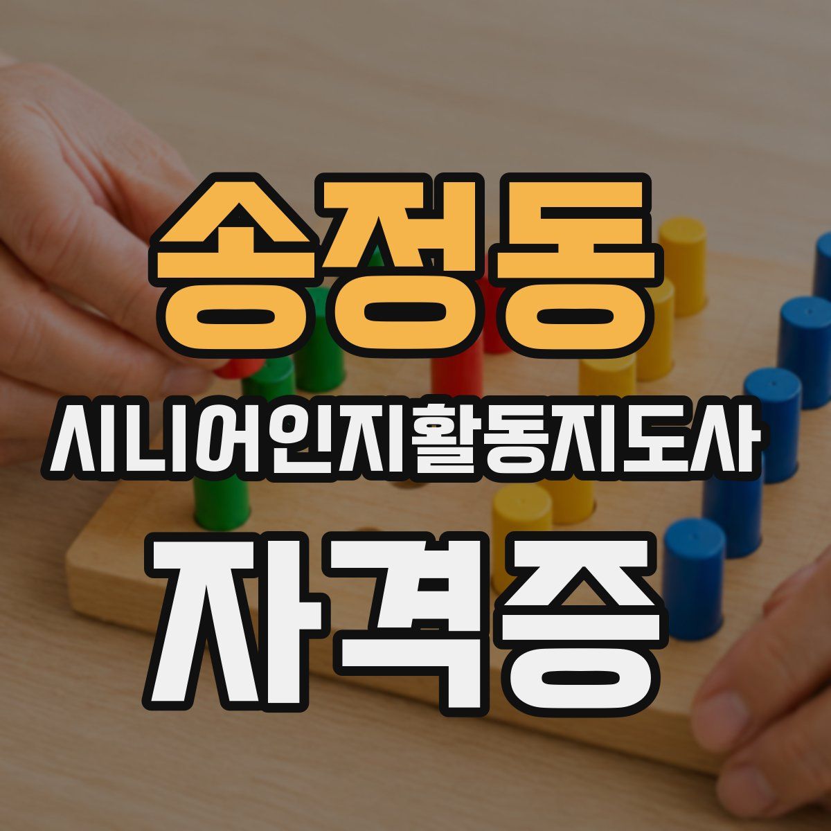 송정동 시니어인지활동지도사 자격증