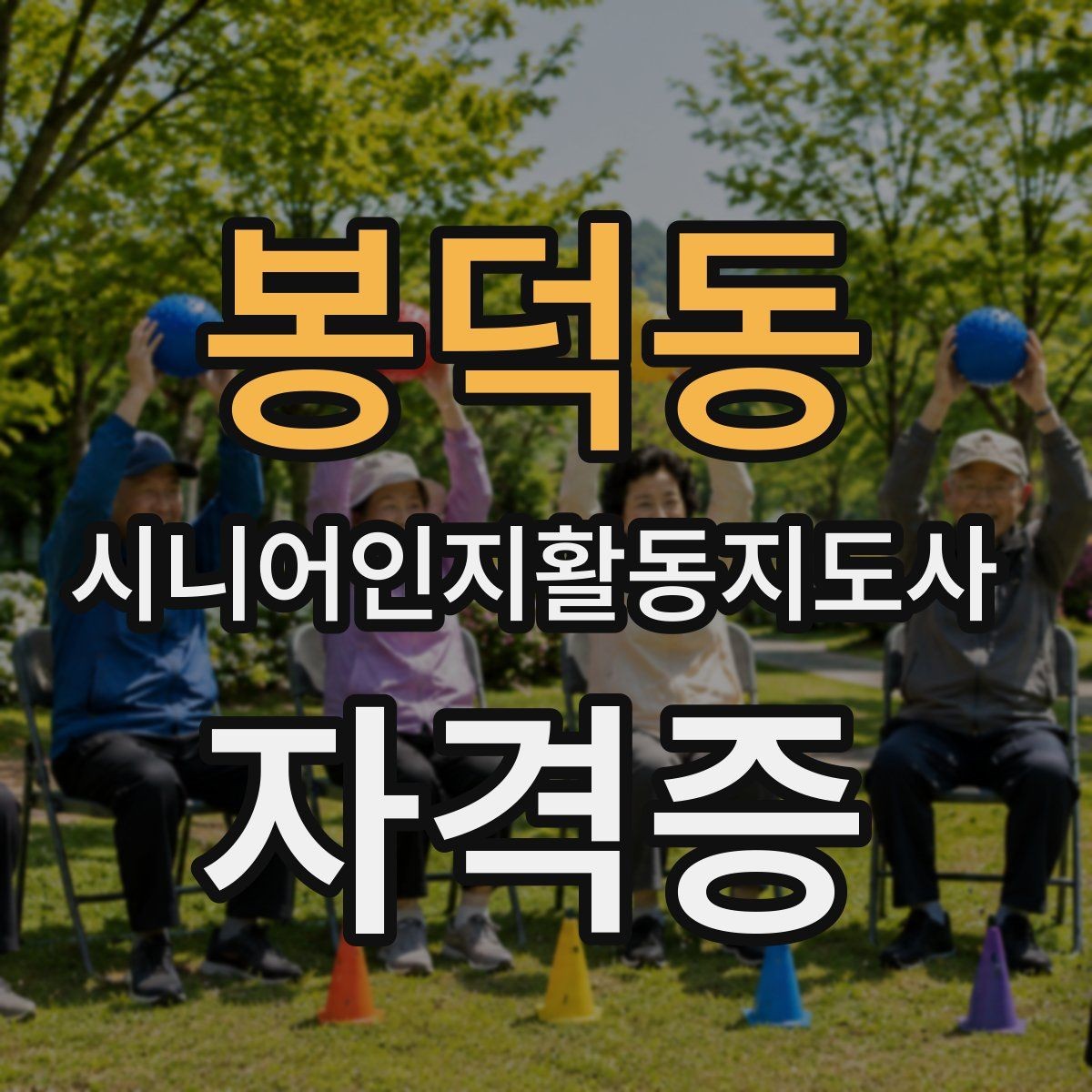봉덕동 시니어인지활동지도사 자격증 선택 시 비교해야 할 요소