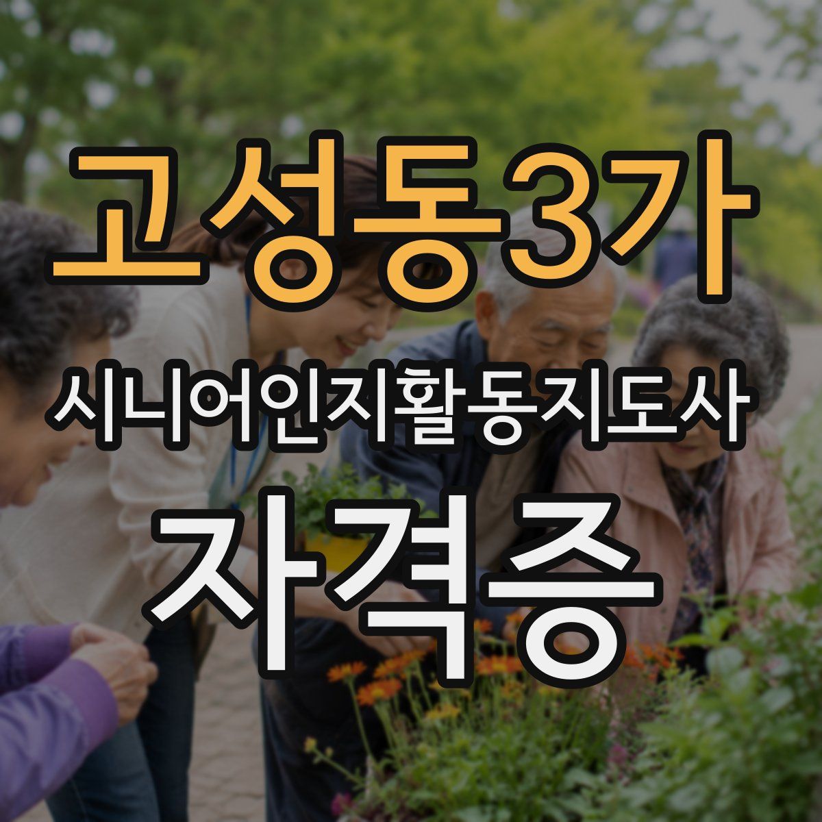 고성동3가 시니어인지활동지도사 자격증