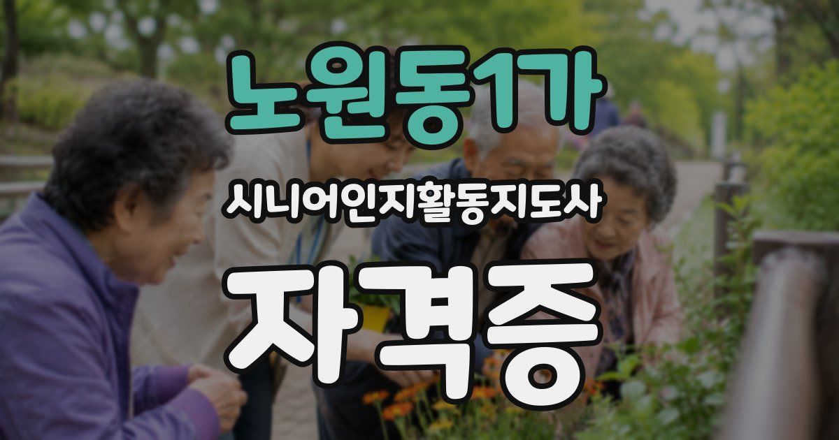 노원동1가 시니어인지활동지도사 자격증