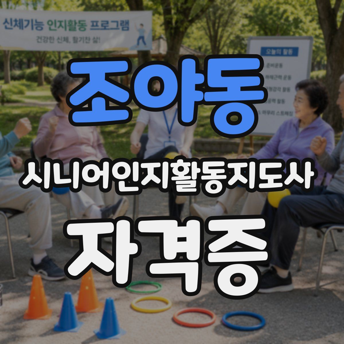 조야동 시니어인지활동지도사 자격증