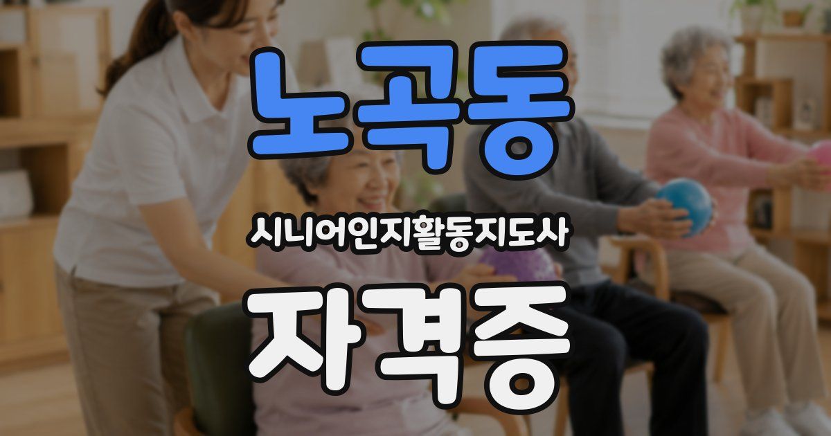 노곡동 시니어인지활동지도사 자격증