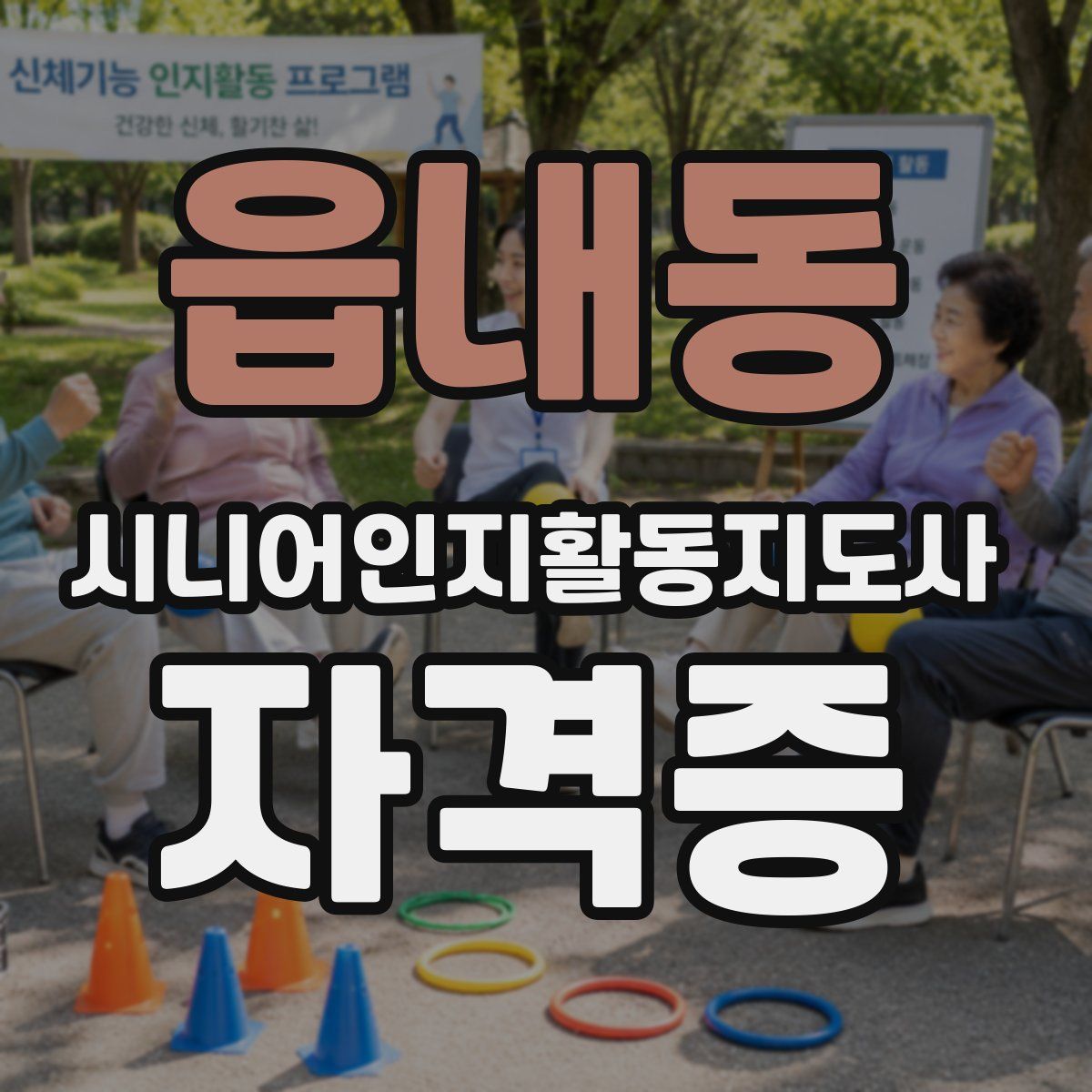 읍내동 시니어인지활동지도사 자격증