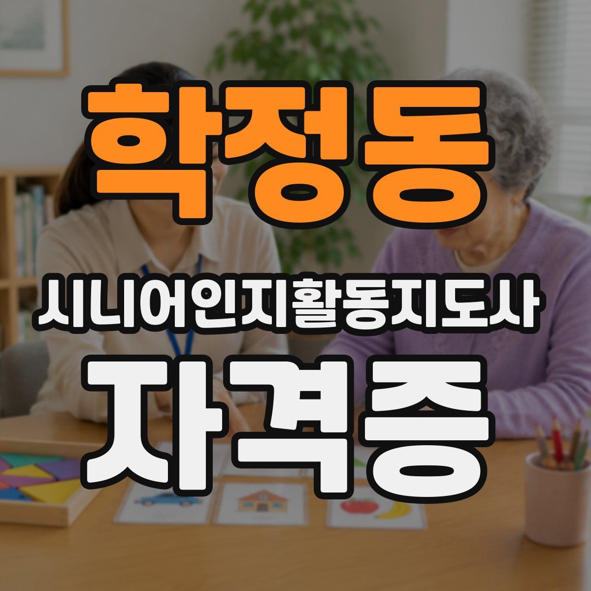 학정동 시니어인지활동지도사 자격증