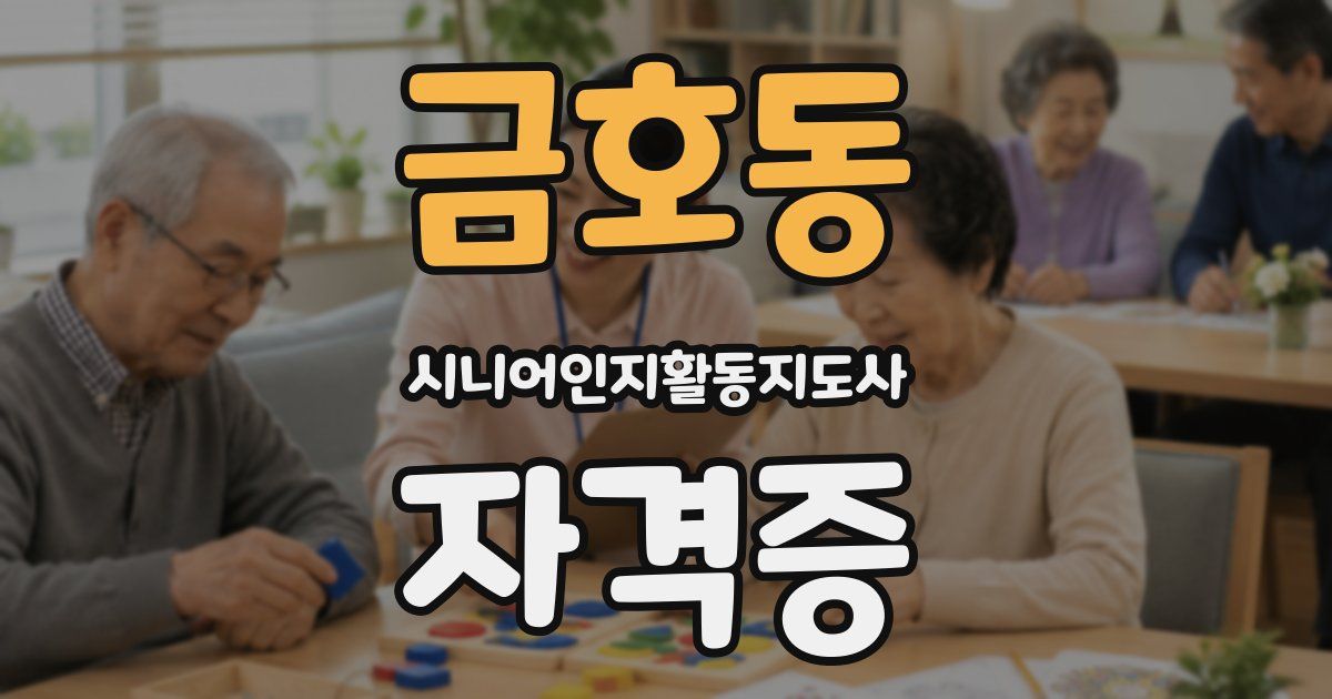금호동 시니어인지활동지도사 자격증