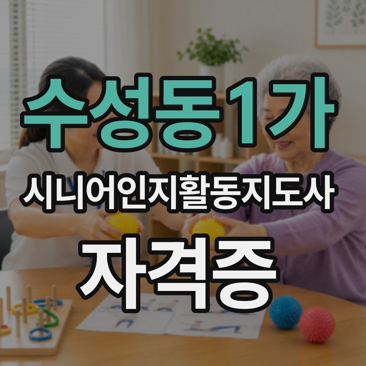 수성동1가 시니어인지활동지도사 자격증