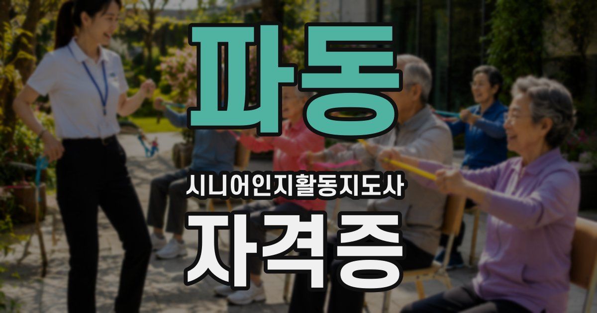 파동 시니어인지활동지도사 자격증
