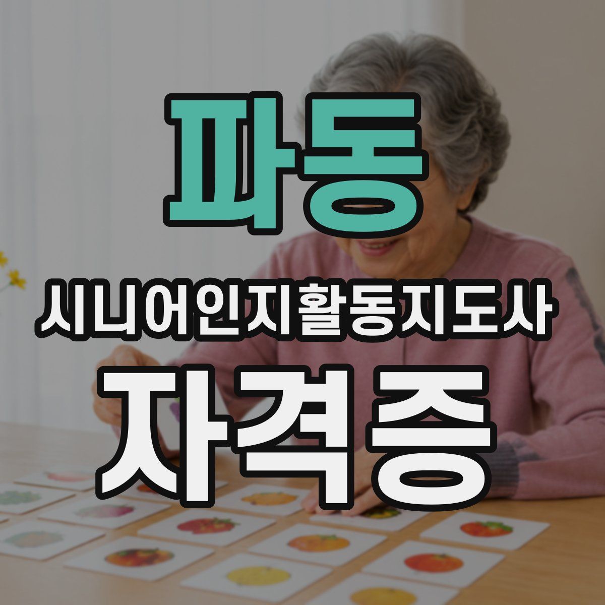 파동 시니어인지활동지도사 자격증