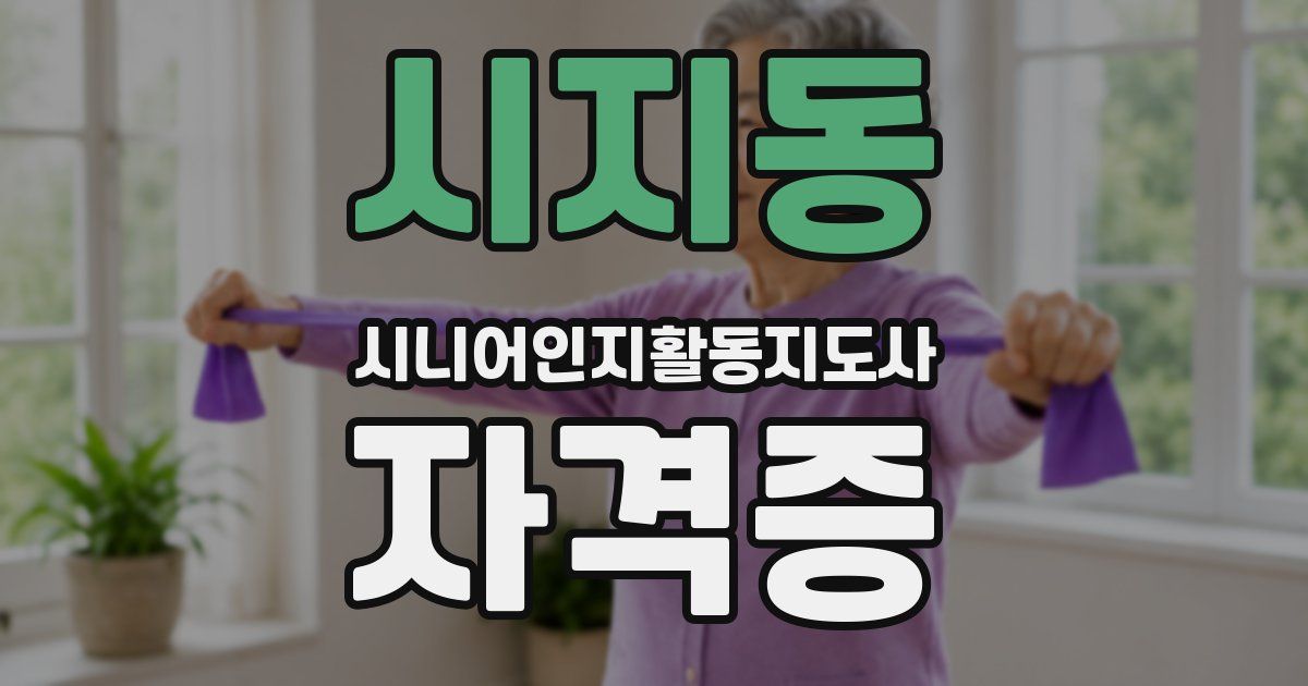 시지동 시니어인지활동지도사 자격증