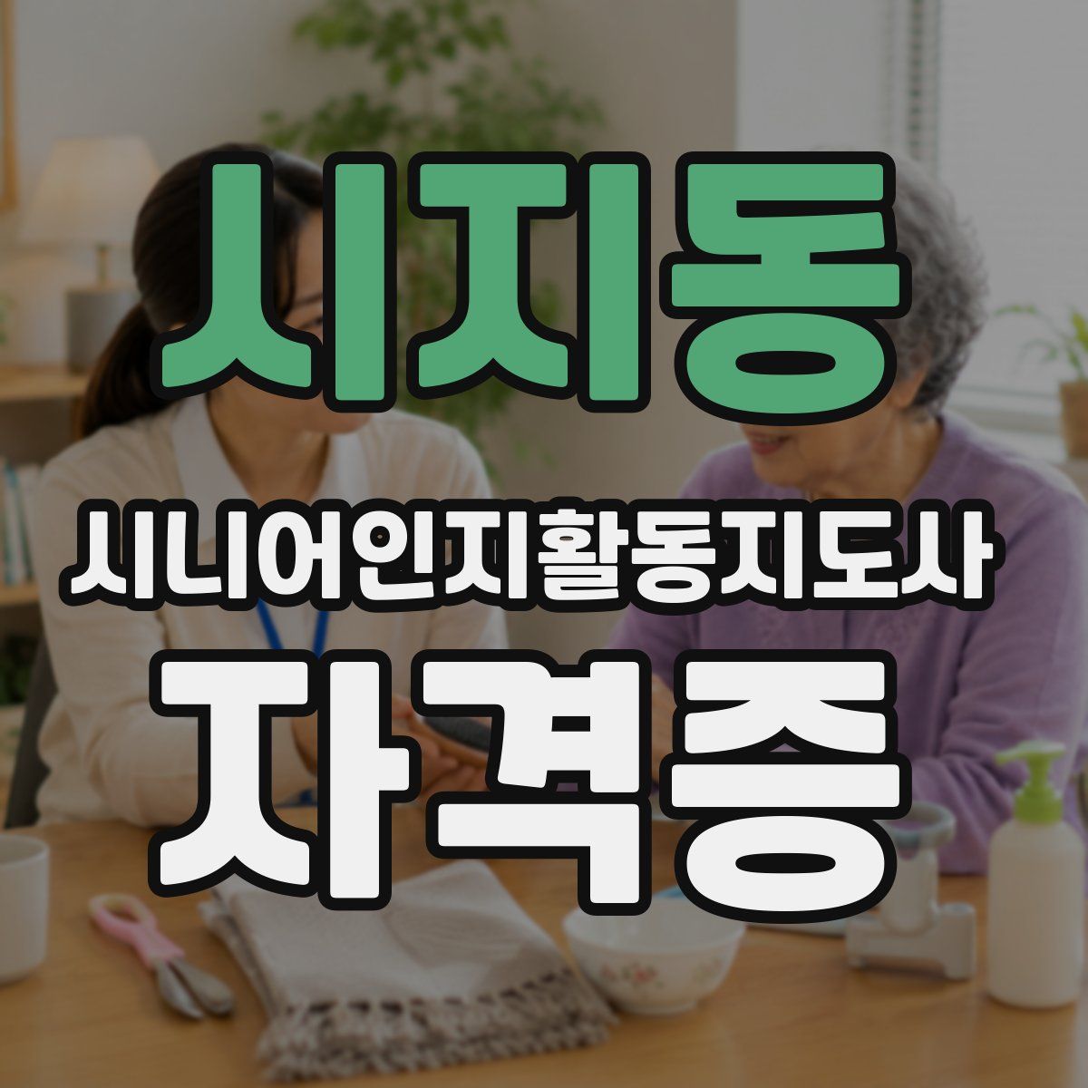 시지동 시니어인지활동지도사 자격증