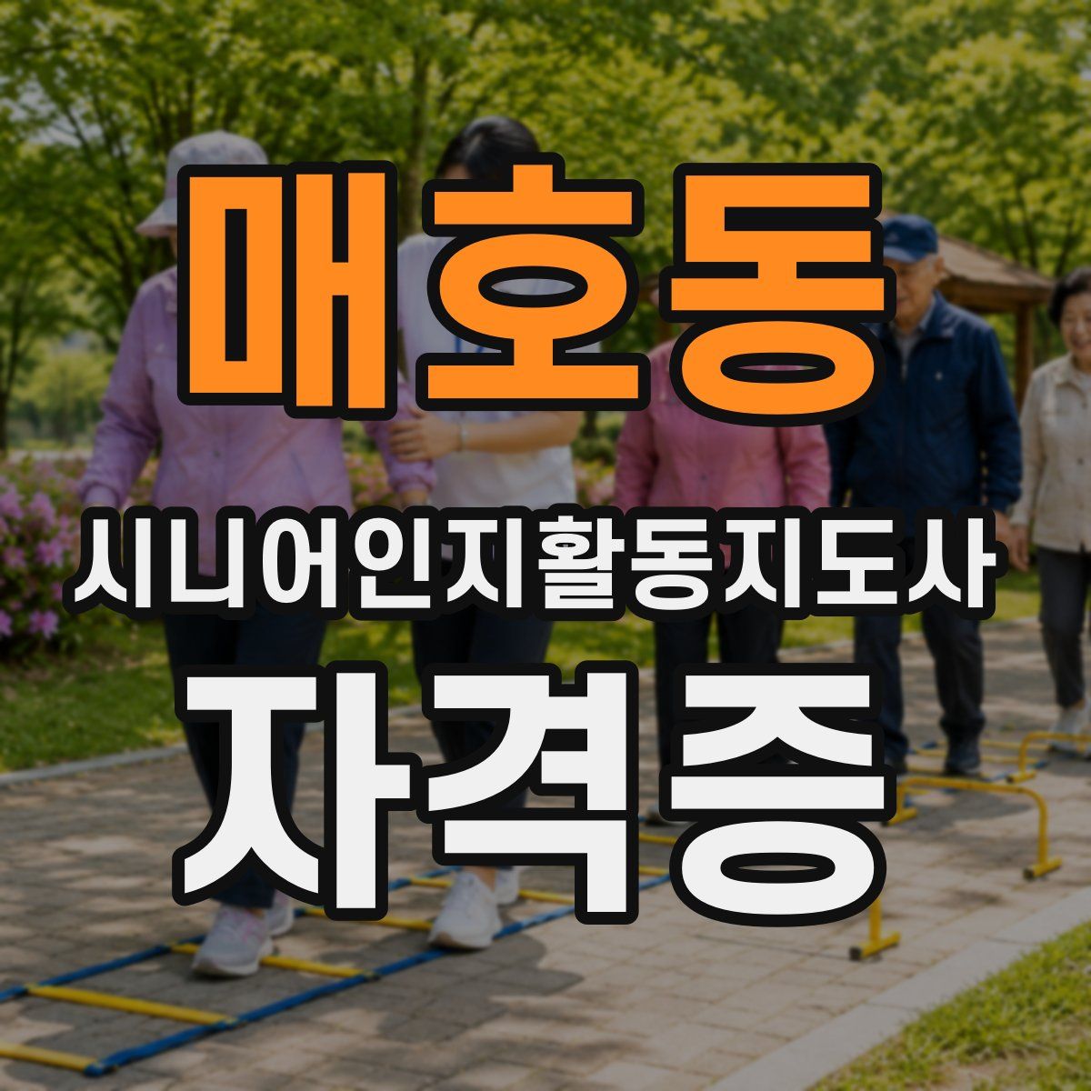 매호동 시니어인지활동지도사 자격증