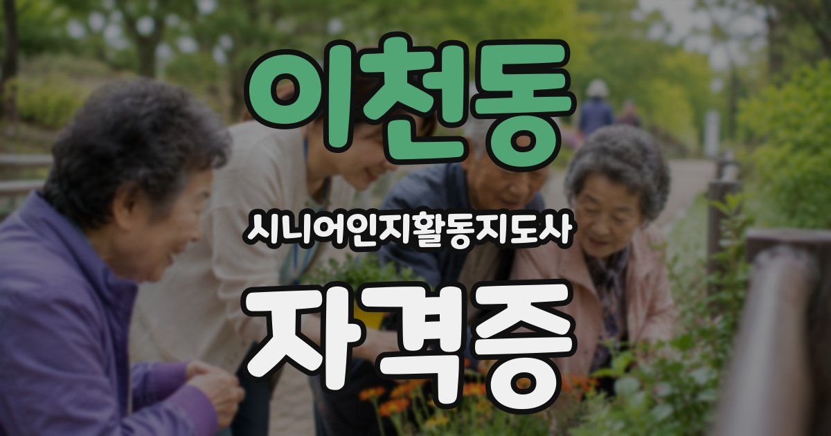 이천동 시니어인지활동지도사 자격증