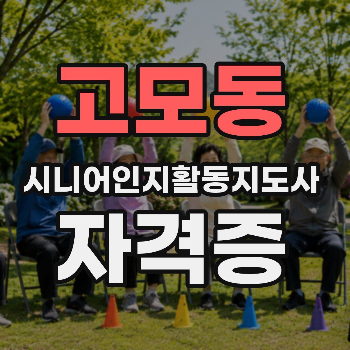 고모동 시니어인지활동지도사 자격증