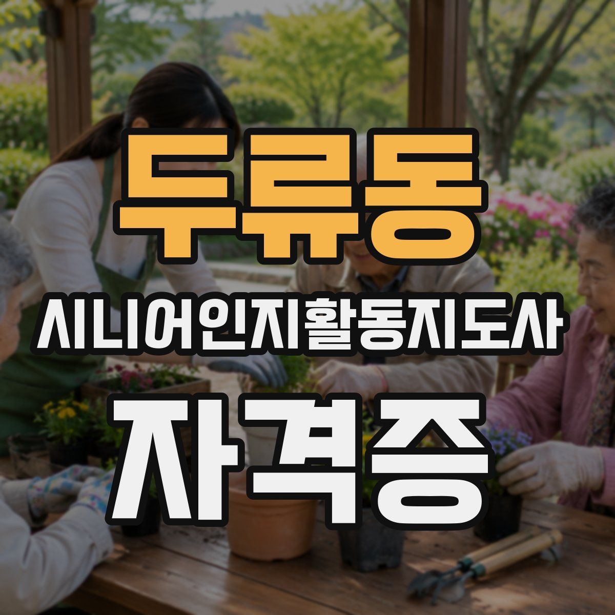 두류동 시니어인지활동지도사 자격증