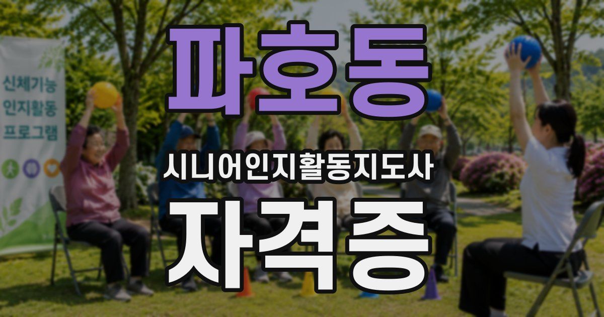 파호동 시니어인지활동지도사 자격증