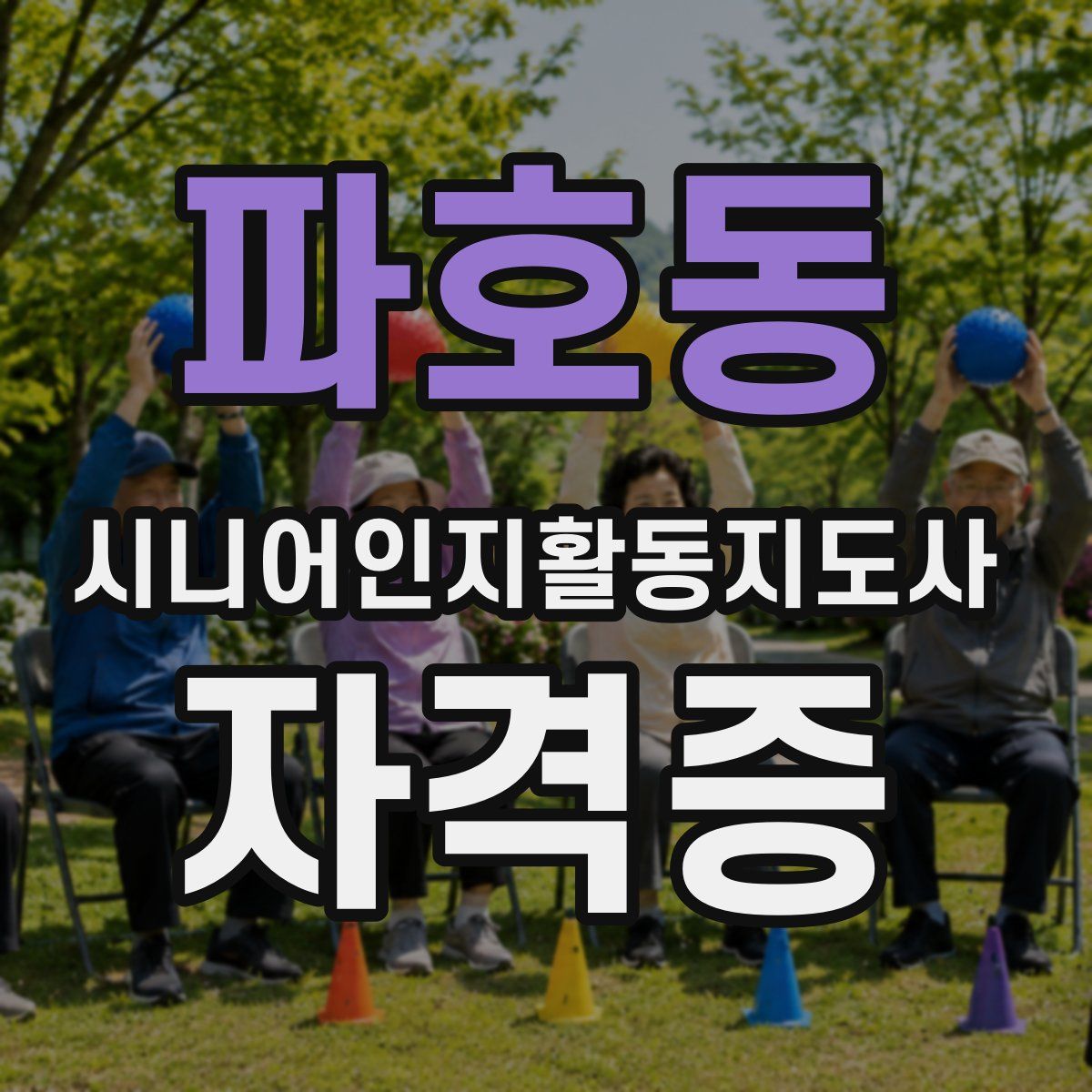 파호동 시니어인지활동지도사 자격증