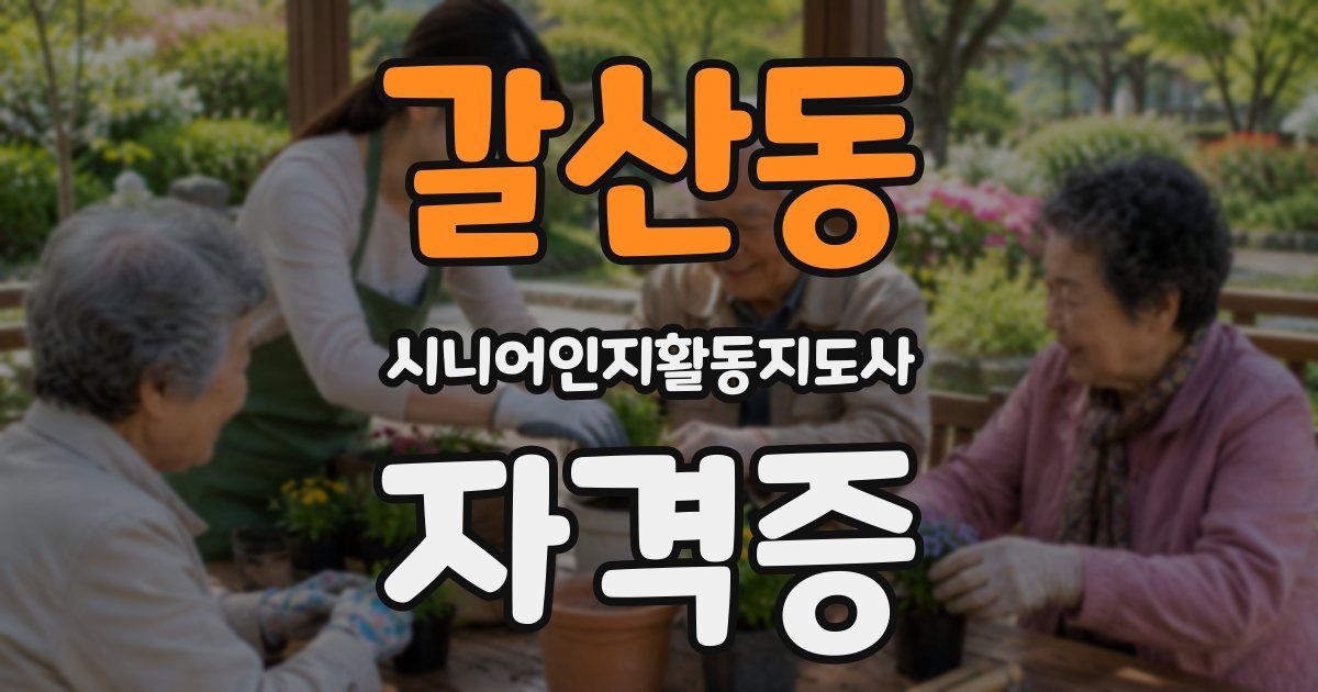 갈산동 시니어인지활동지도사 자격증