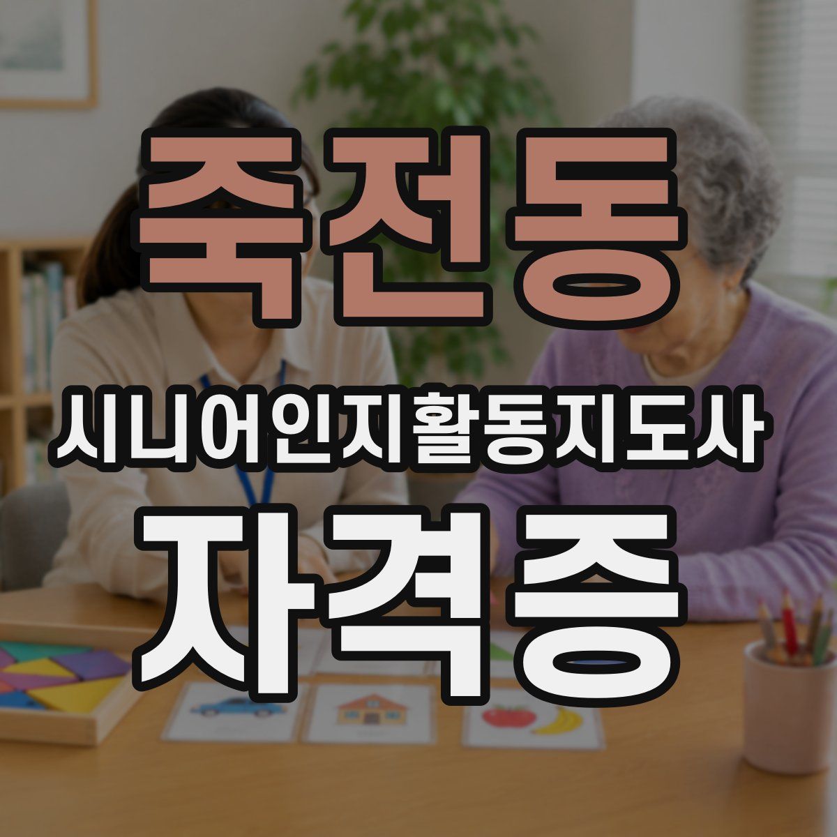 죽전동 시니어인지활동지도사 자격증