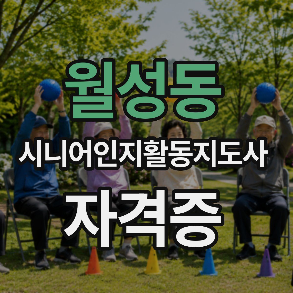 월성동 시니어인지활동지도사 자격증