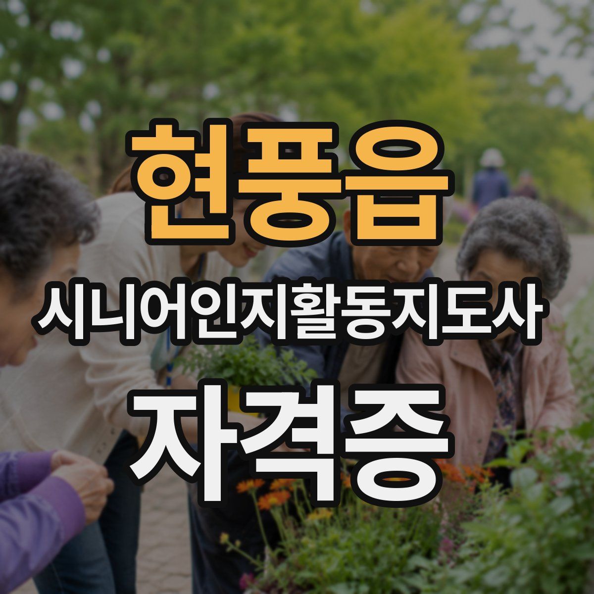 현풍읍 시니어인지활동지도사 자격증