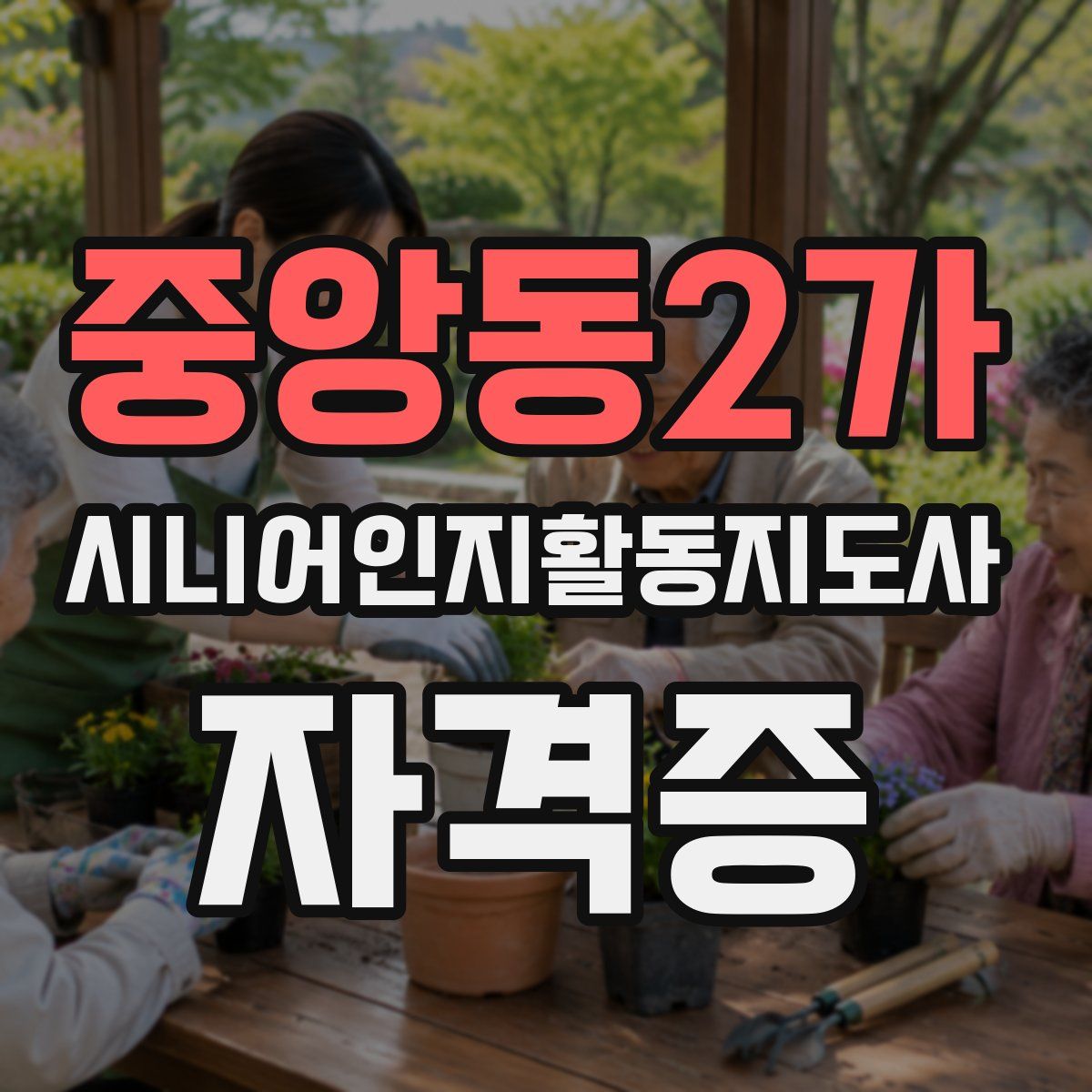 중앙동2가 시니어인지활동지도사 자격증