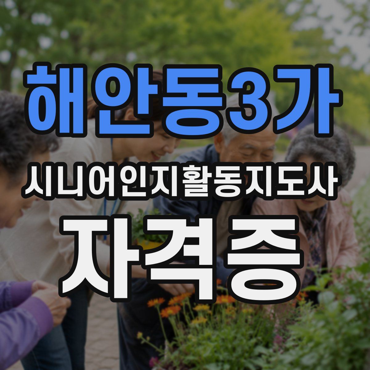 해안동3가 시니어인지활동지도사 자격증