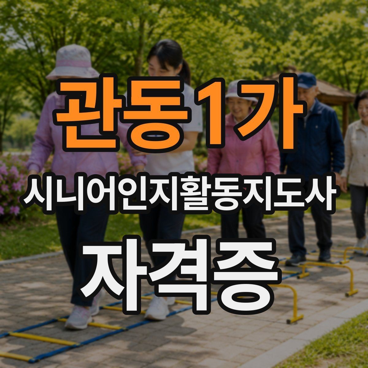 관동1가 시니어인지활동지도사 자격증 등록 과정과 확인 사항