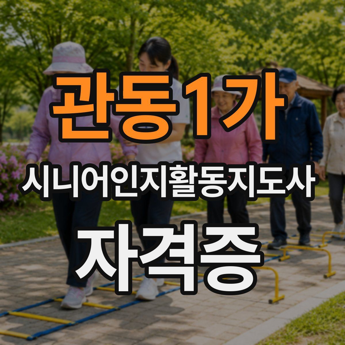 관동1가 시니어인지활동지도사 자격증