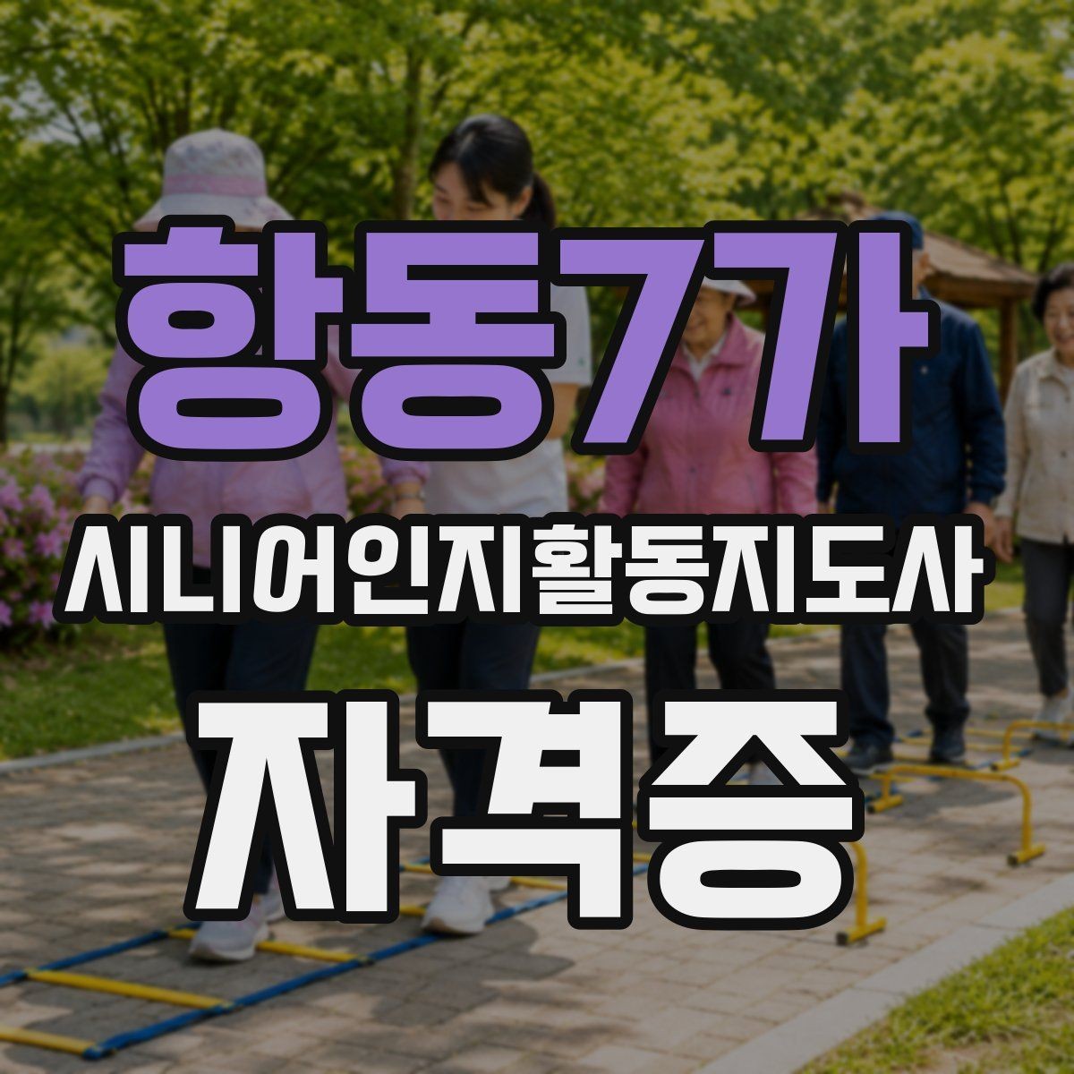항동7가 시니어인지활동지도사 자격증 관련 정보 검색 시 유의점