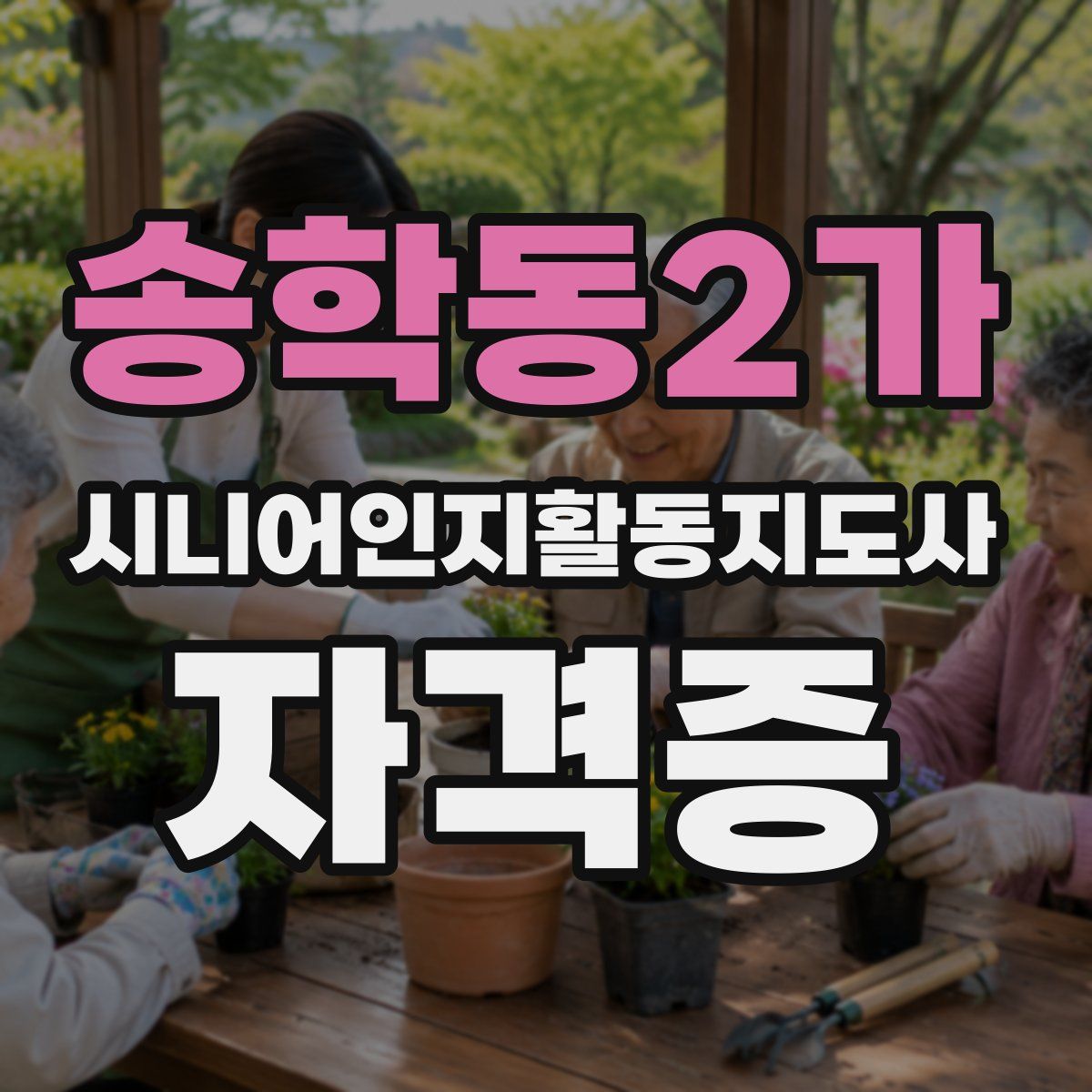 송학동2가 시니어인지활동지도사 자격증