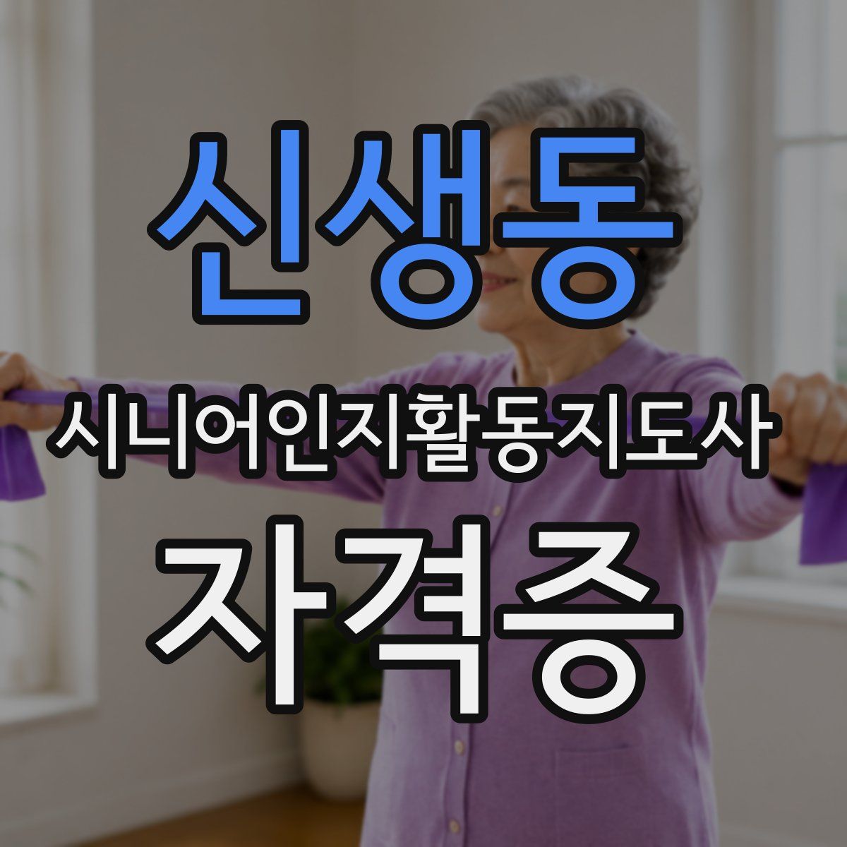 신생동 시니어인지활동지도사 자격증