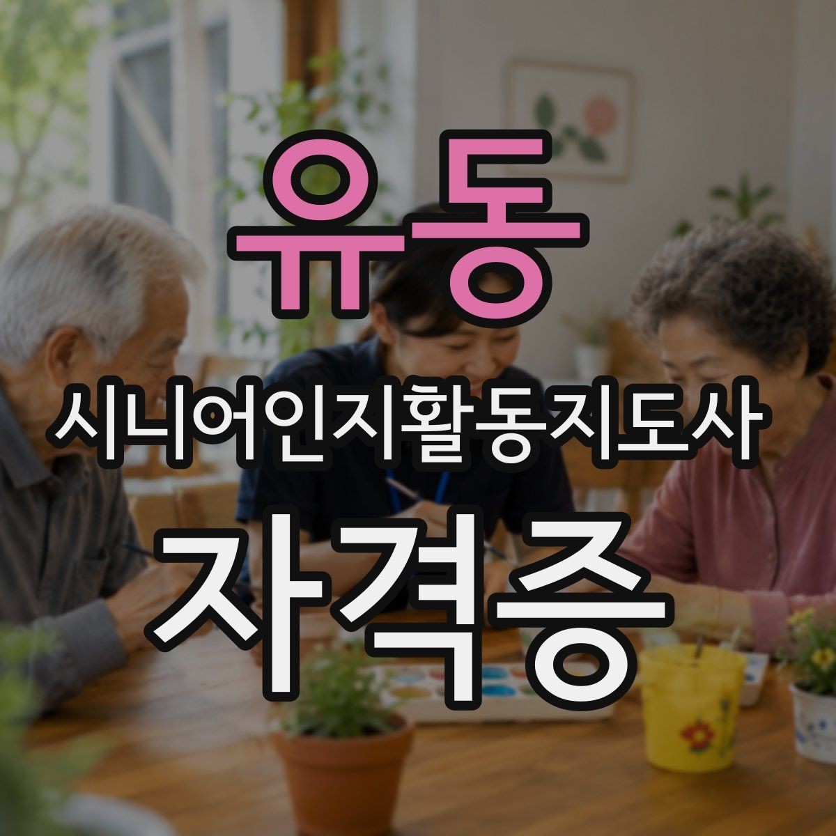 유동 시니어인지활동지도사 자격증 과정별 차이 비교
