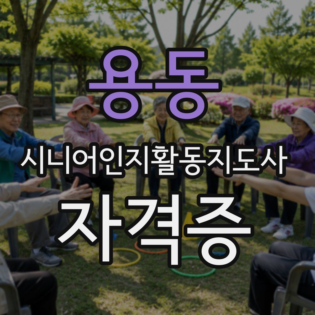 용동 시니어인지활동지도사 자격증 과정 선택 전 확인할 기준
