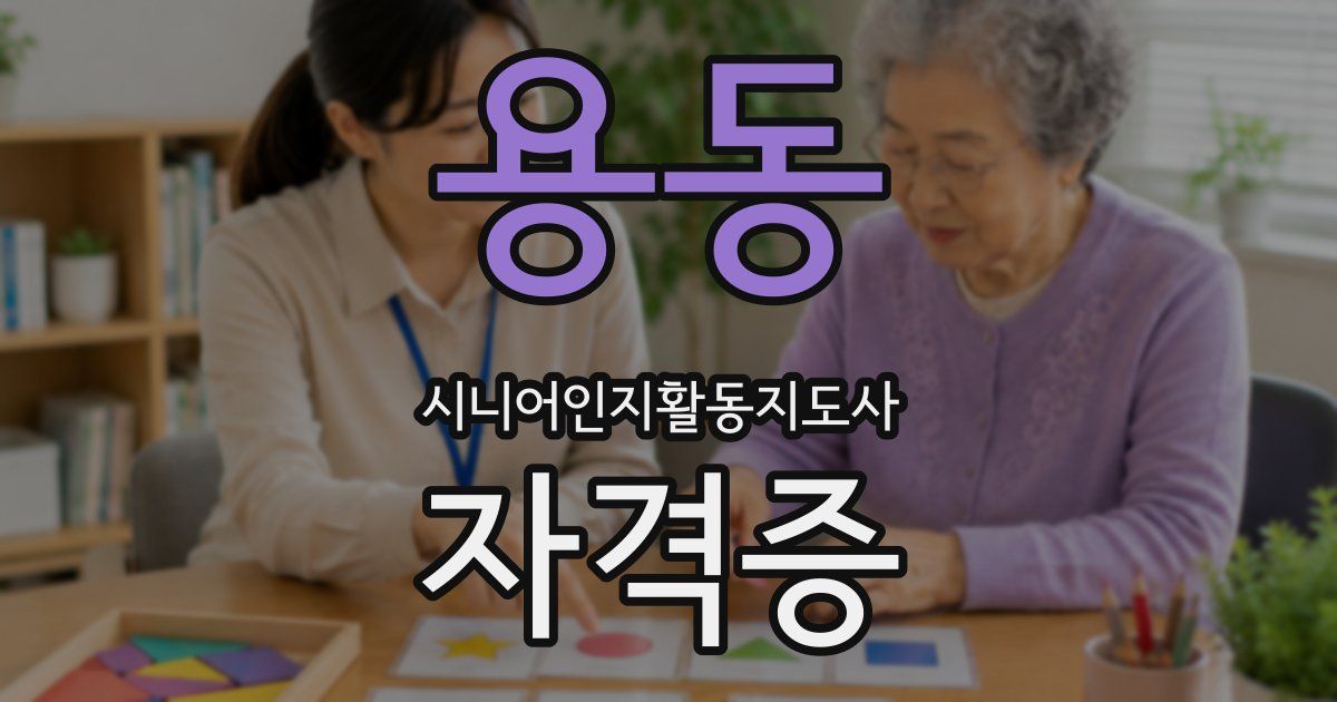 용동 시니어인지활동지도사 자격증