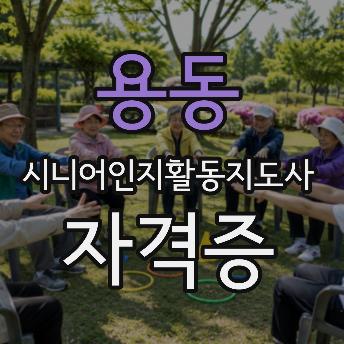 용동 시니어인지활동지도사 자격증
