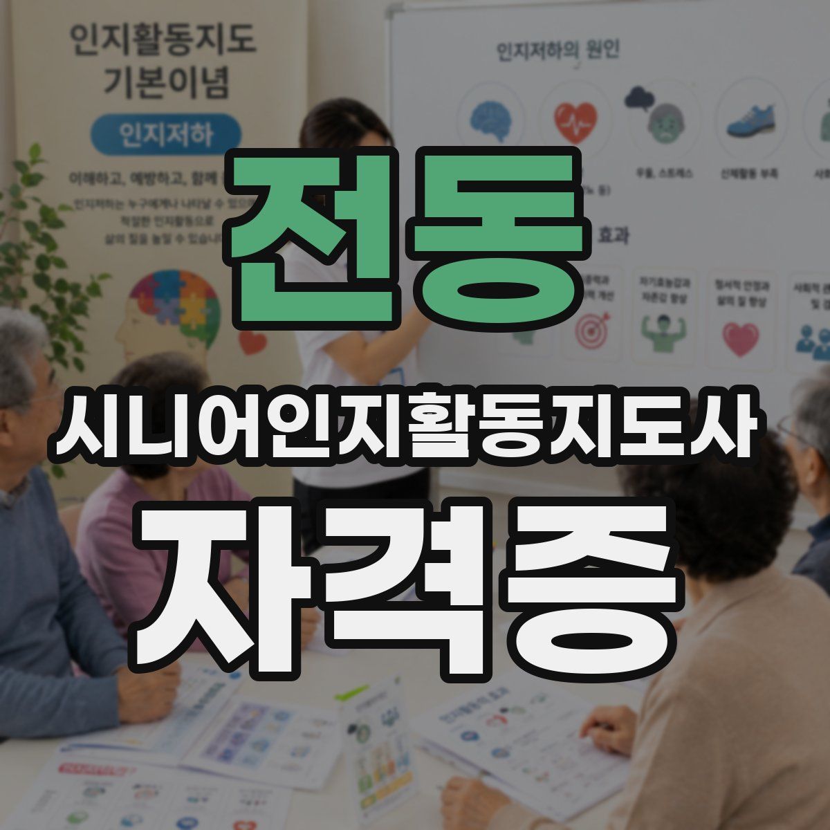 전동 시니어인지활동지도사 자격증
