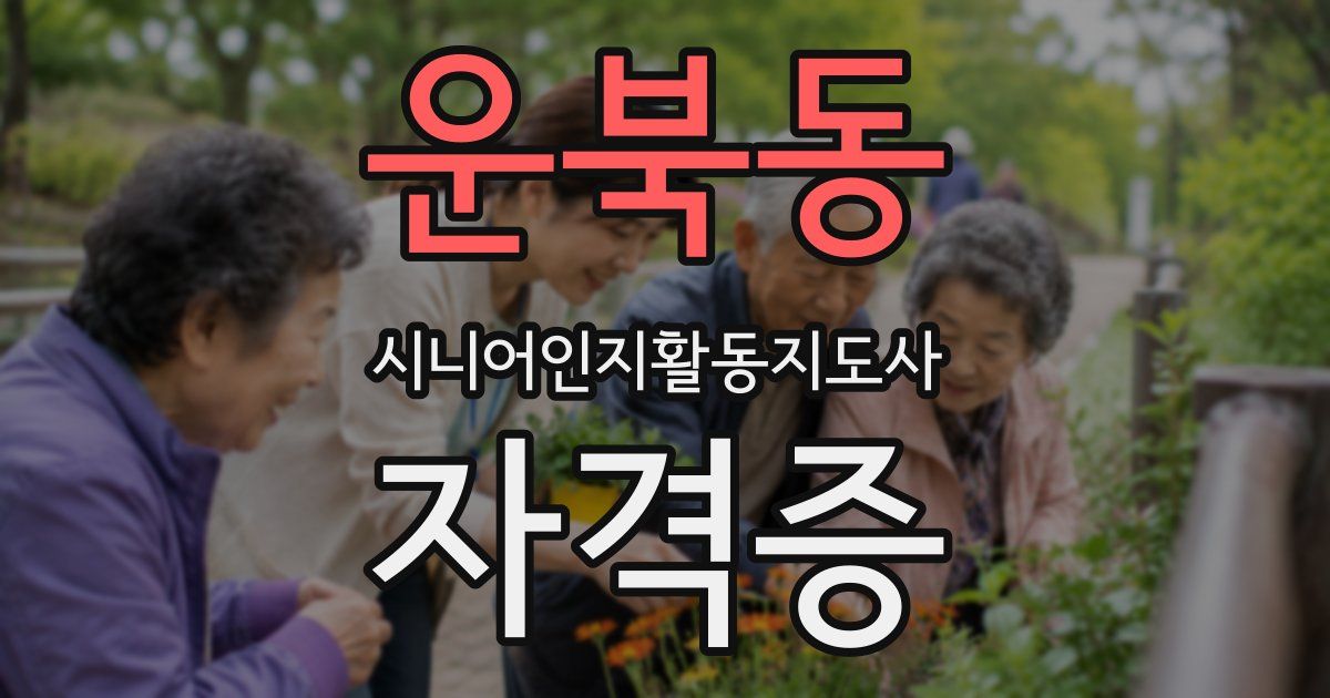 운북동 시니어인지활동지도사 자격증