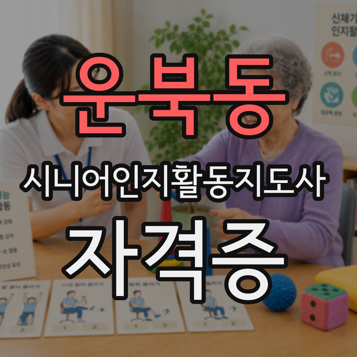 운북동 시니어인지활동지도사 자격증