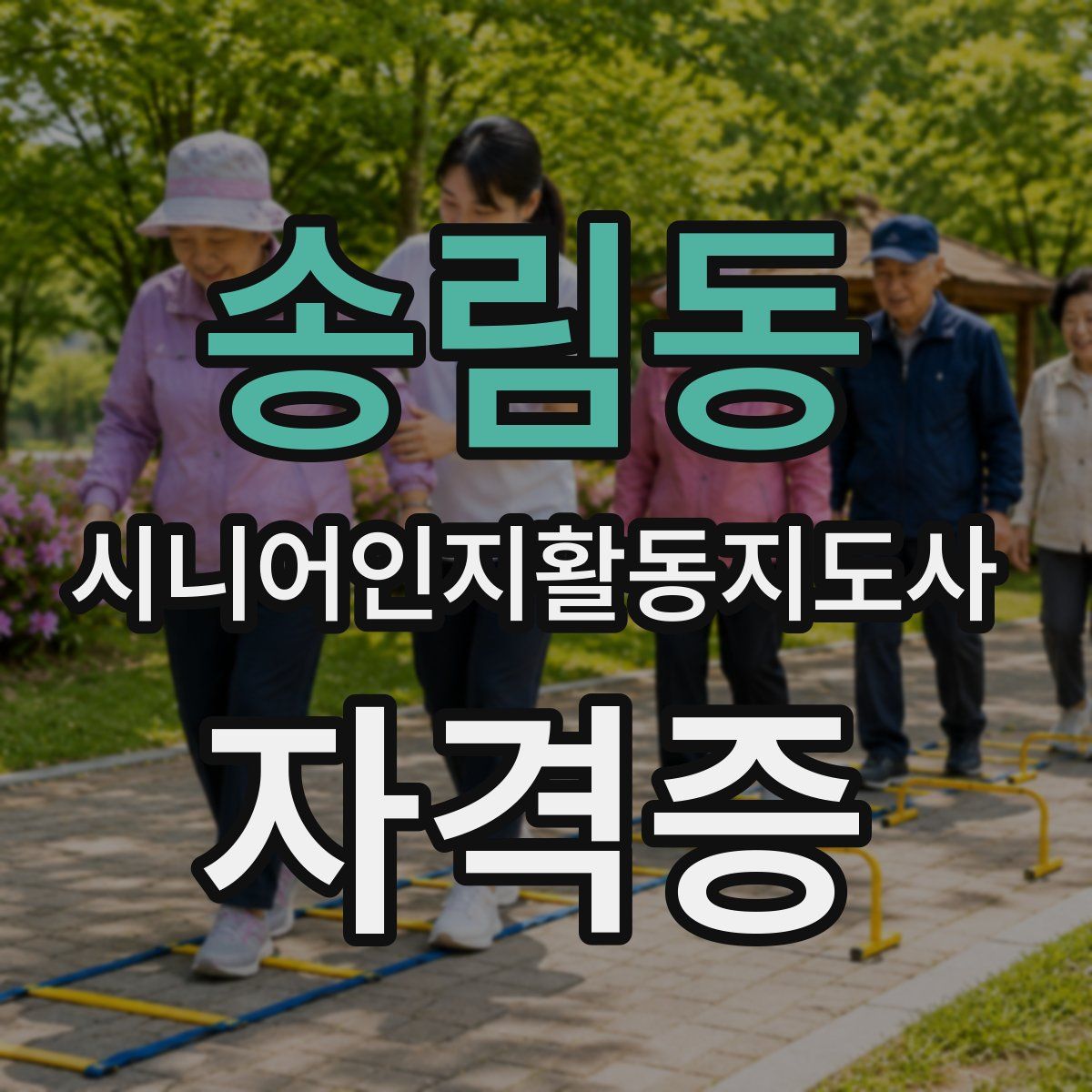 송림동 시니어인지활동지도사 자격증