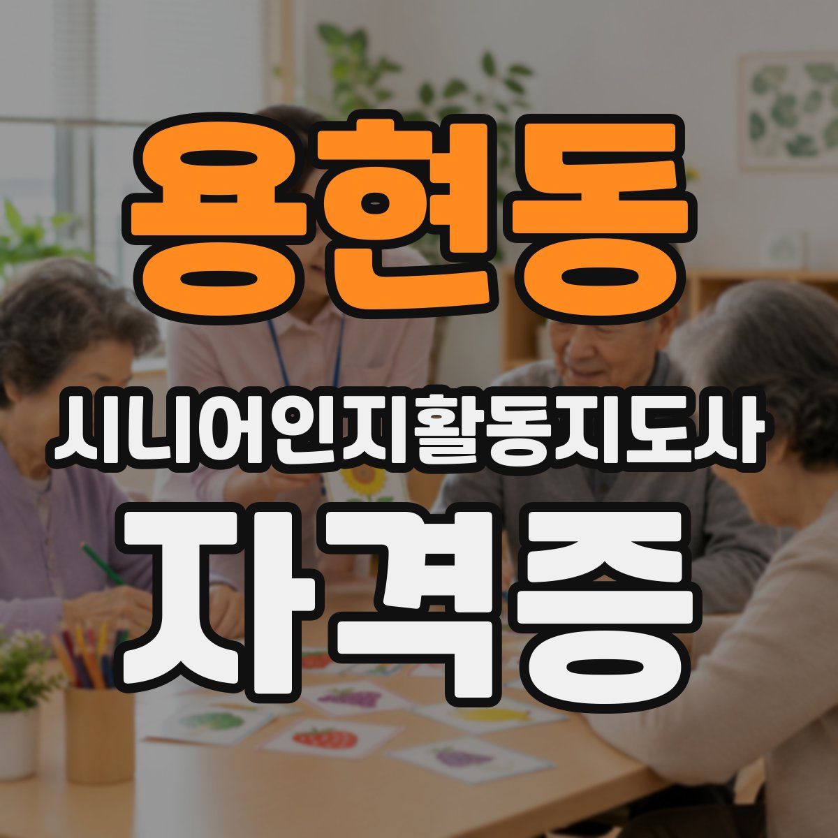 용현동 시니어인지활동지도사 자격증