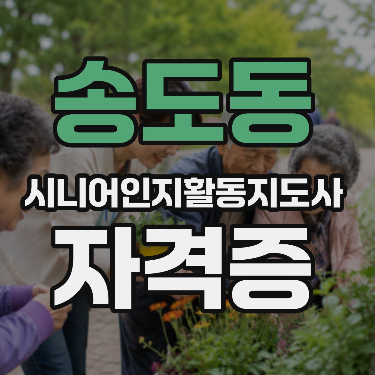 송도동 시니어인지활동지도사 자격증