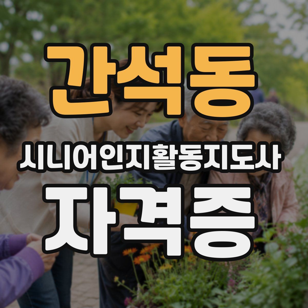 간석동 시니어인지활동지도사 자격증