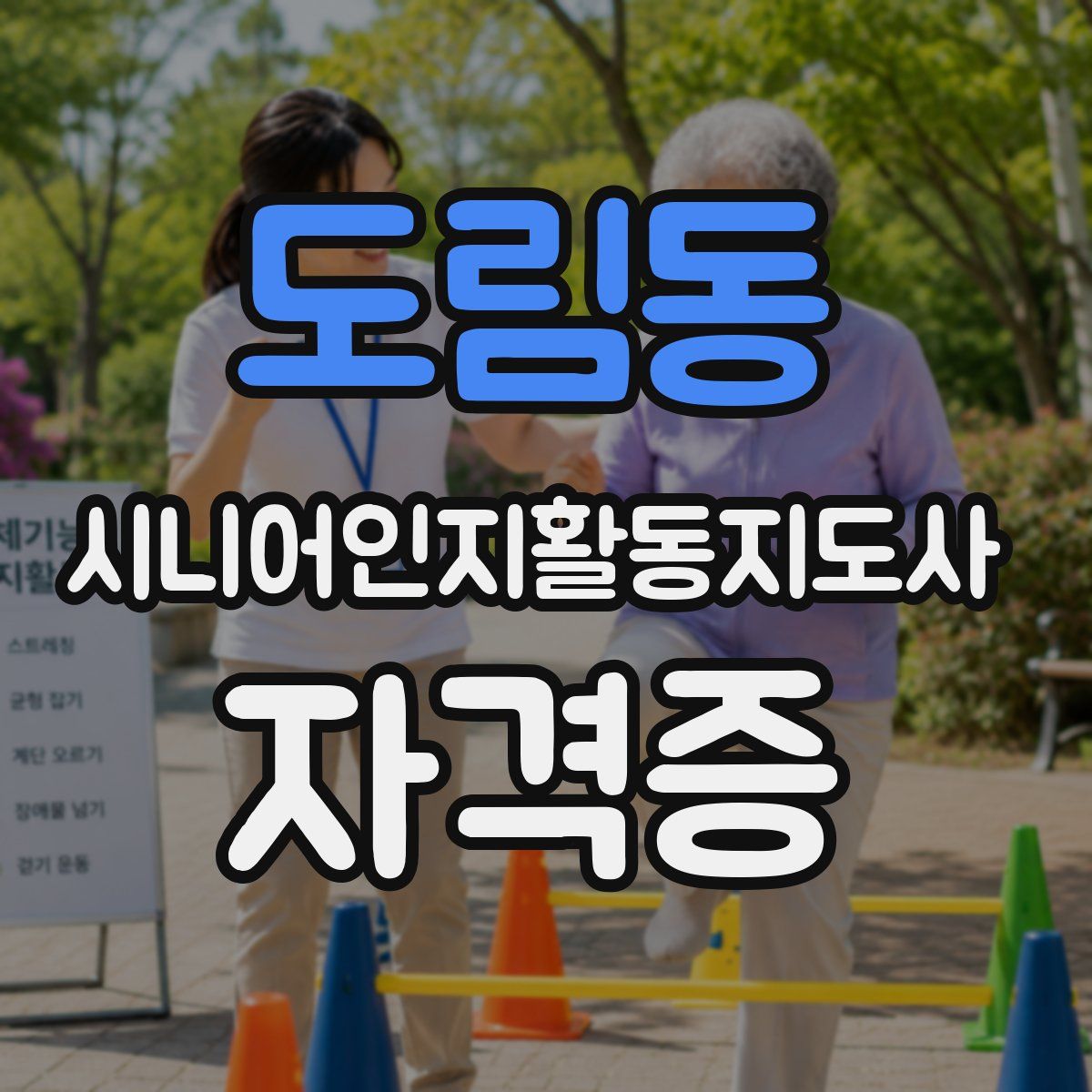도림동 시니어인지활동지도사 자격증