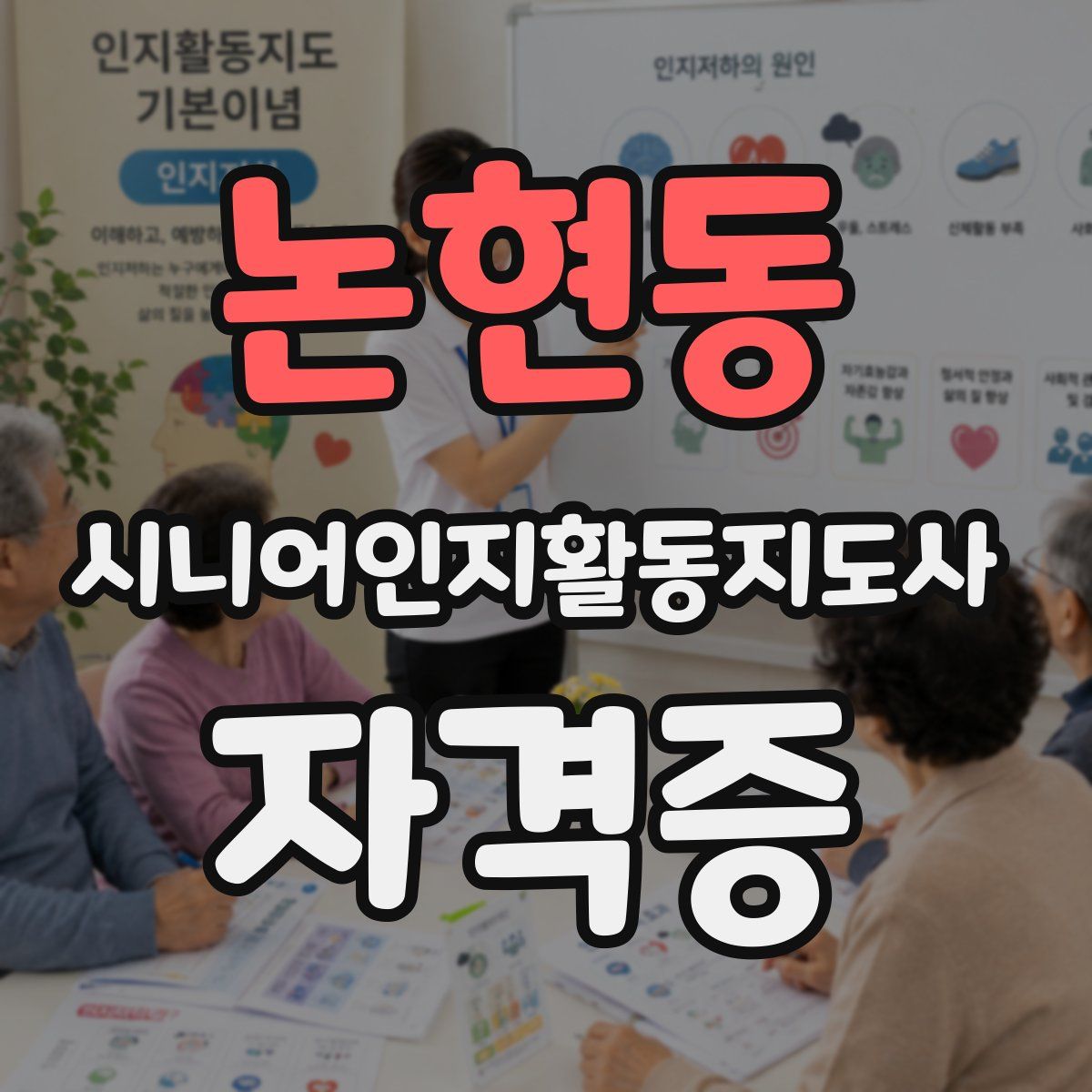 논현동 시니어인지활동지도사 자격증
