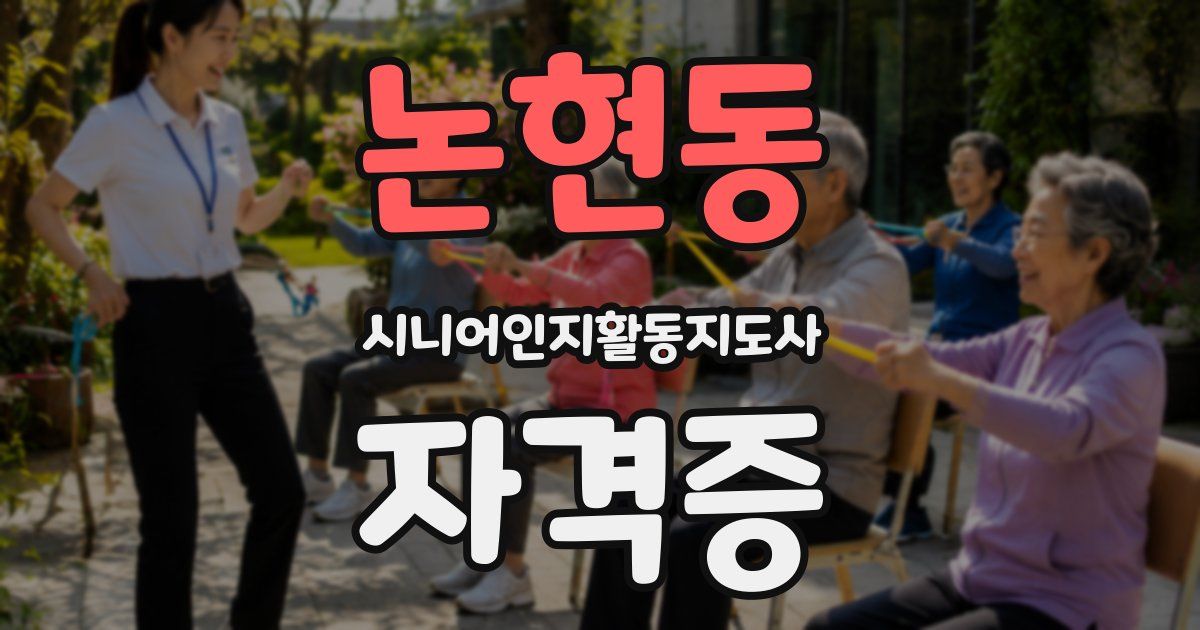 논현동 시니어인지활동지도사 자격증