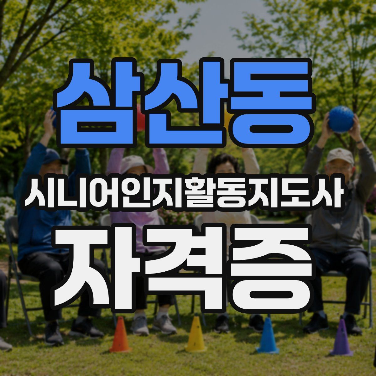 삼산동 시니어인지활동지도사 자격증