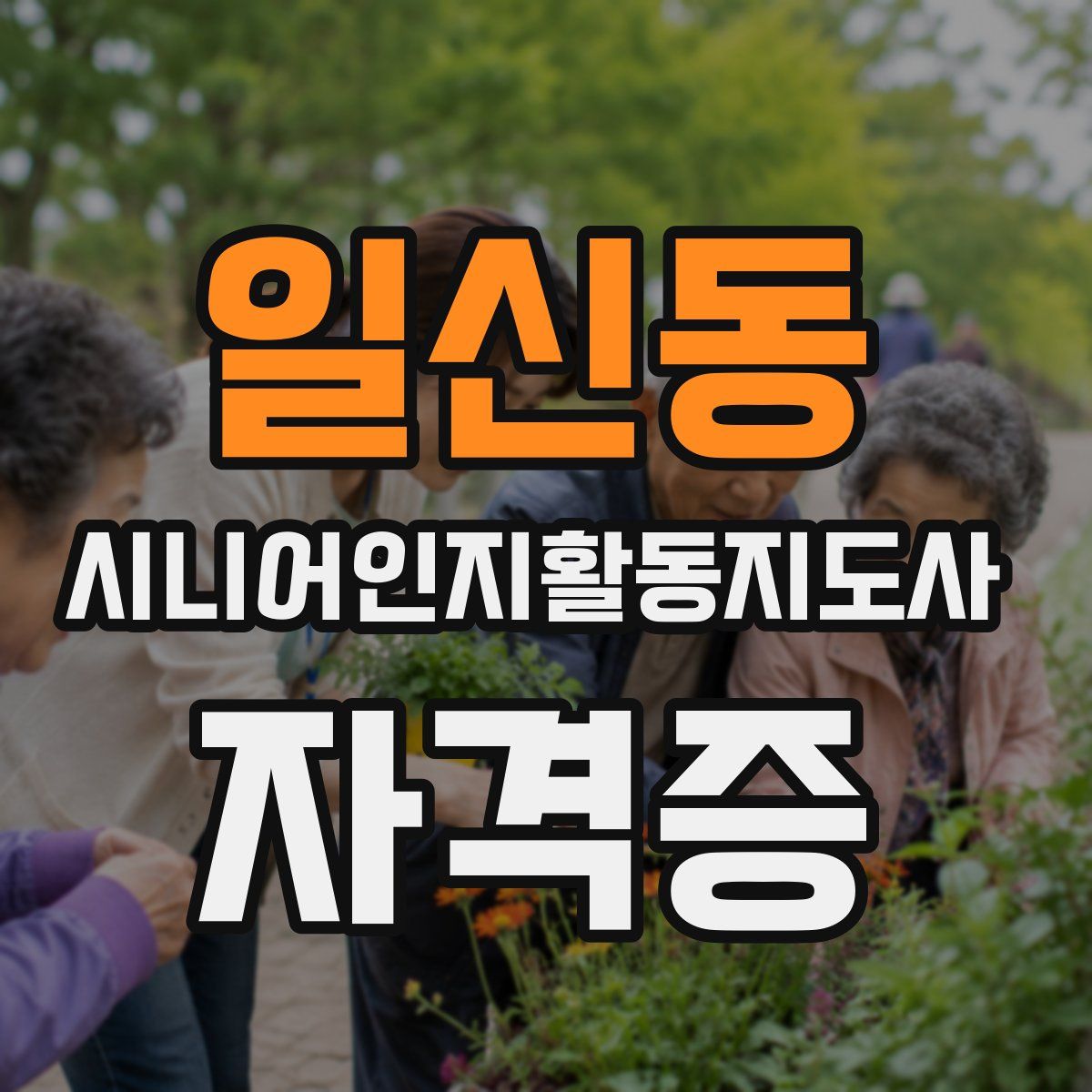 일신동 시니어인지활동지도사 자격증